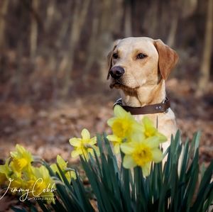 Meet your Posher, Selena